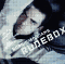Rudebox, Robbie Williams