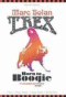 DVD - T. Rex: Born To Boogie