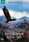 DVD - :  -